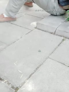 肥逼妹子穿裙子户外露出自慰,蹲路边退下丝袜内裤逼逼塞跳蛋摸逼,很是诱惑喜欢不要错过第03集