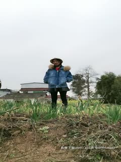 2020.2.17【金莲小仙女】重庆妹子到农村勾搭,撒尿掰穴露臀秀奶第05集