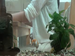 DVDES-762 巨乳の姉とセックスしたい…弟の歪んだ願望を告白された姉は葛藤の末に近親相姦を受け入れる！！家族に内緒の家庭内盗撮でその愛情をAV制作会社が完全バックアップ！！