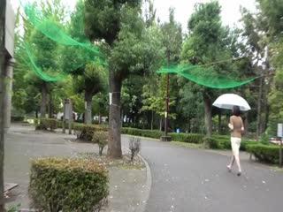 TLZ-015 すみません私とレズりませんか？