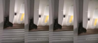 全国空降极品【20226125】淫乱拍摄现场实录